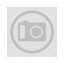 Services International LLC