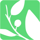 Seeds of Peace
