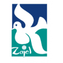 شركة زاجل للدعاية والاعلان