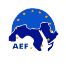 المؤسسة العربية الاوروبية للاستشارات AEF