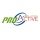 ProActive Solutions for Training & Consultation