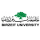 جامعة بيرزيت - Birzeit University